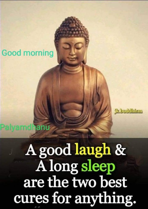 A Good Laugh & A Long Sleep are The Two Best Cures For Anything Quote