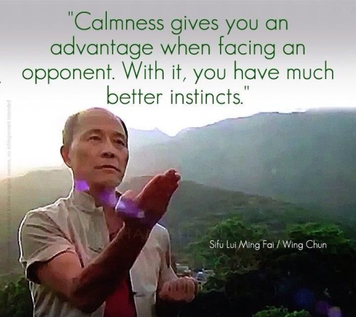 Calmness Gives You An Advantage When Facing An Opponent Quote