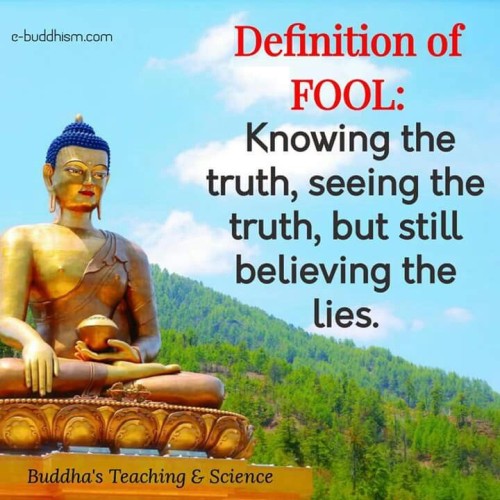 Definition of Fool Knowing The Truth But Still Believing The Lies Quote