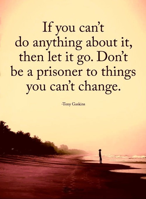 If You Cant Do Anything About It Then Let It Go Quote