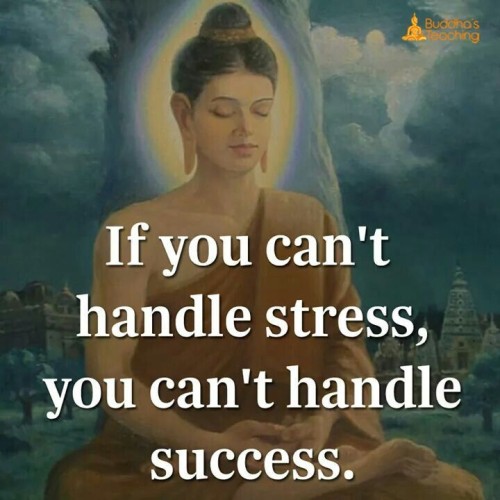 If You Cant Handle Stress You Cant Handle Success Quote