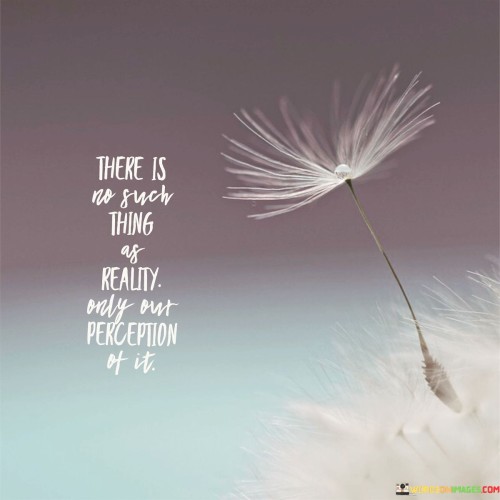 There-Is-No-Such-Thing-As-Reality-Only-Out-Perception-Of-It-Quotes.jpeg