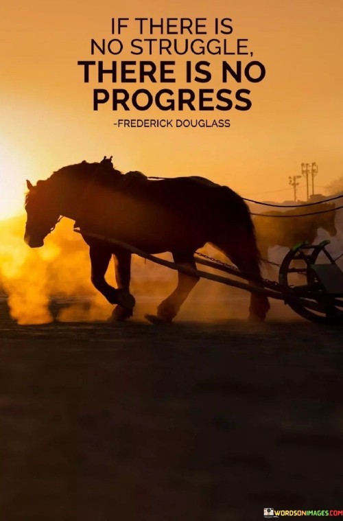 If-There-Is-No-Struggle-There-Is-No-Progress-Quotes.jpeg