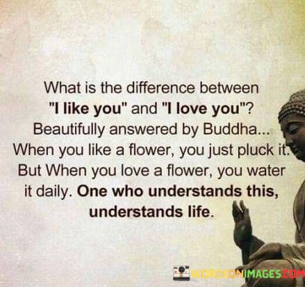 What-Is-The-Difference-Between-I-Like-You-And-I-Love-You-Quotes.jpeg