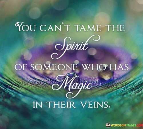 You-Cant-Tame-The-Spirit-Of-Someone-Who-Quotes.jpeg