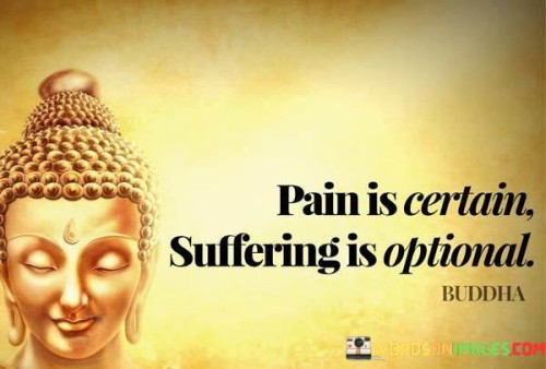 Pain-Is-Certain-Suffering-Is-Optional-Quotes.jpeg