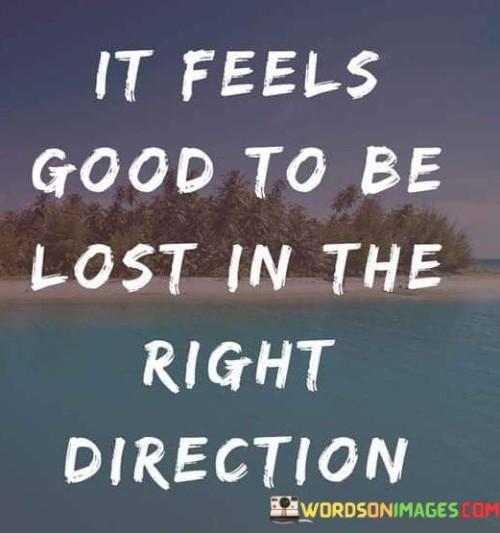 It-Feels-Good-To-Be-Lost-In-The-Quotes.jpeg