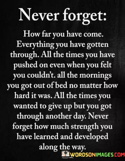 Never-Forget-How-Far-You-Have-Come-Everything-You-Quotes96bca7bd8b3a822e.jpeg