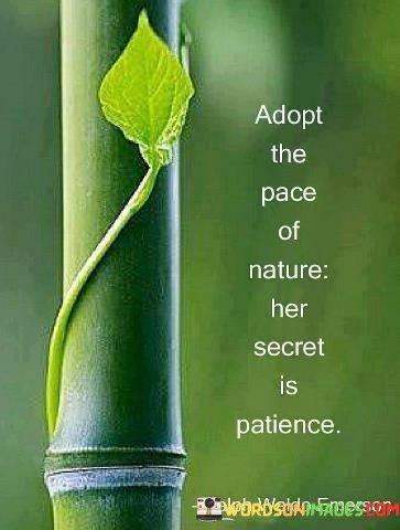 Adopt-The-Peace-Of-Nature-Her-Secret-Quotes.jpeg