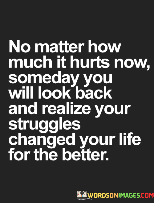 No-Matter-How-Much-It-Hurts-Now-Someday-You-Will-Look-Back-Quotes.png