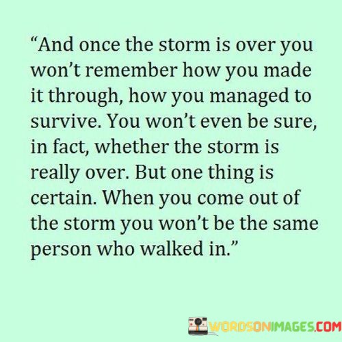 And-Once-The-Storm-Is-Over-You-Wont-Remember-Quotes.jpeg