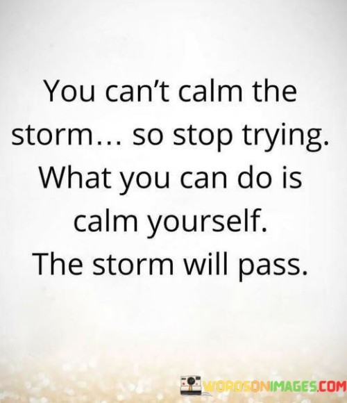 You-Cant-Calm-The-Strom-So-Stop-Trying-What-You-Can-Quotes.jpeg