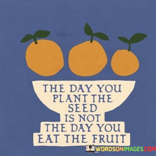 The-Day-You-Plant-The-Seed-Is-Not-The-Day-You-Eat-The-Fruit-Quotes.jpeg