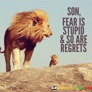 Son-Fear-Is-Stupid-And-So-Are-Regrets-Quotes.jpeg