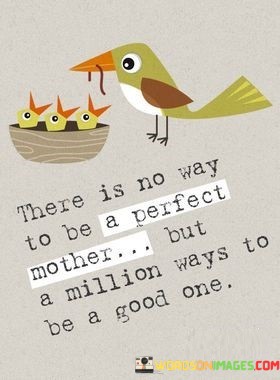 There-Is-No-Way-To-Be-A-Perfect-Mother-Quotes.jpeg