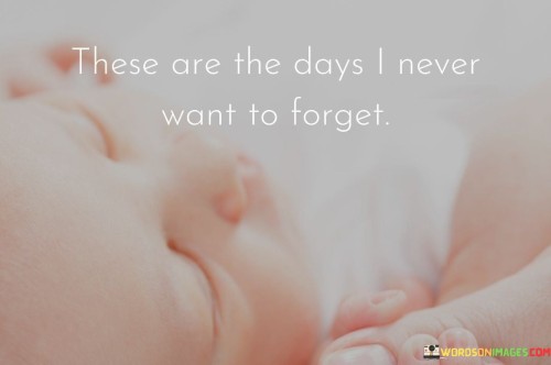 These-Are-The-Days-I-Never-Want-To-Forget-Quotes.jpeg