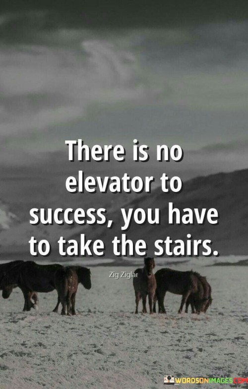 There-Is-No-Elevator-To-Success-You-Have-To-Take-The-Stairs-Quotes.jpeg