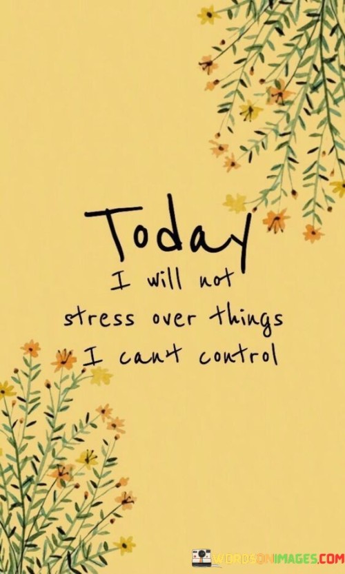 Today-I-Will-Not-Stress-Over-Things-I-Cant-Control-Quotes.jpeg