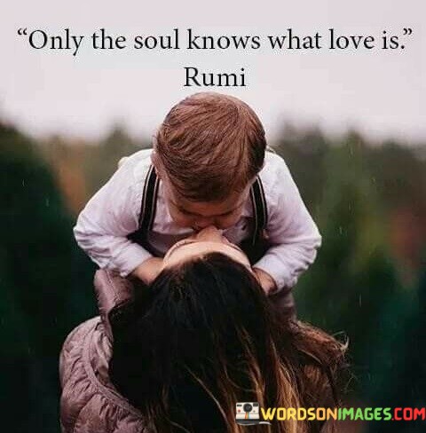 Only-The-Soul-Knows-What-Love-Is-Quotes.jpeg