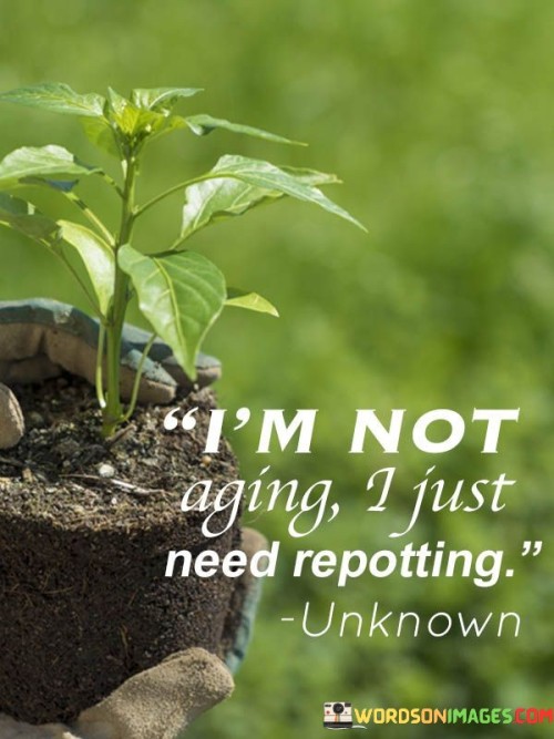 Im-Not-Aging-I-Just-Need-Repotting-Quotes.jpeg