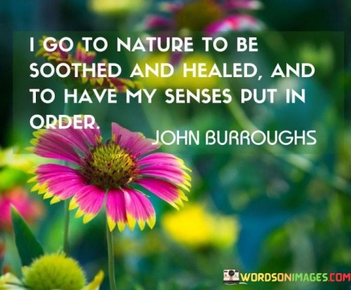 I Go To Nature To Be Soothed And Healed And To Quotes