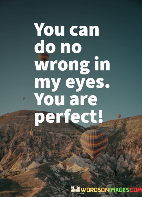 You-Can-Do-No-Wrong-In-My-Eyes-You-Are-Perfect-Quotes.jpeg