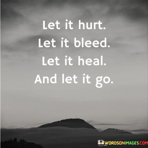 Let-It-Hurt-Let-It-Bleed-Let-It-Heal-And-Let-It-Go-Quotes.jpeg