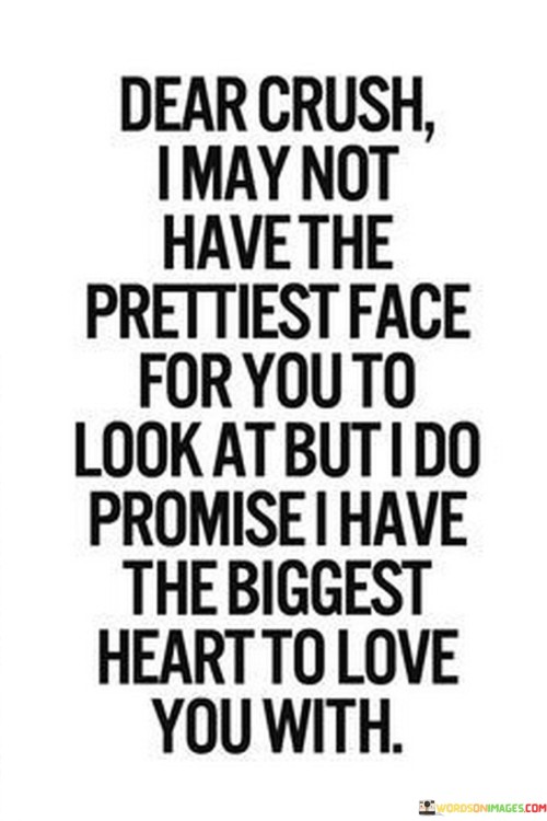 Dear Crush I May Not Have The Prettiest Face For You To Look At But I Do Promise Quotes