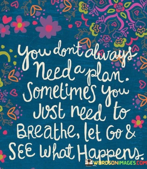 You-Dont-Always-Need-A-Plan-Sometimes-You-Just-Quotes.jpeg