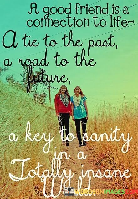 A-Good-Friend-Is-A-Connection-To-Life-A-Tie-To-The-Past-Quotes.jpeg