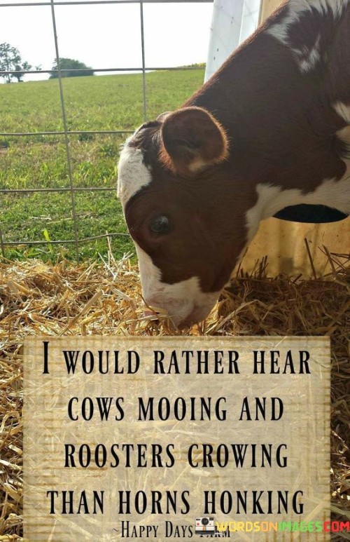I Could Bother Here Cow Mooing And Roosters Quotes