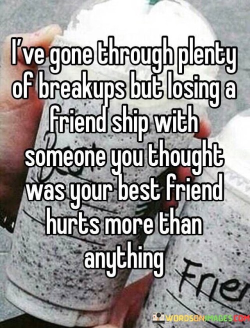 Ive-Gone-Through-Plenty-Of-Breakups-But-Losing-A-Friend-Ship-Quotes.jpeg