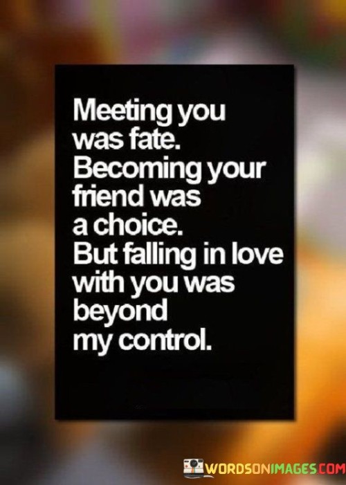 Meeting-You-Was-Fate-Becoming-Your-Friend-Was-A-Choice-Quotes.jpeg