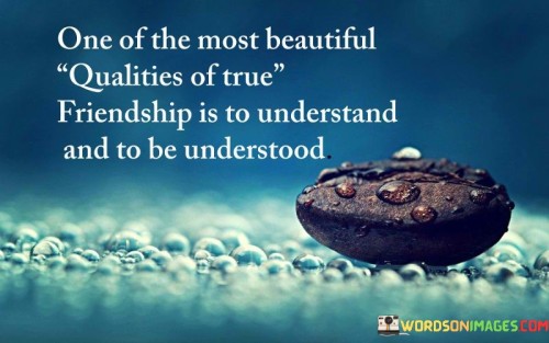 One-Of-The-Most-Beautiful-Qualities-Of-Ture-Friendship-Is-To-Understand-Quotes.jpeg
