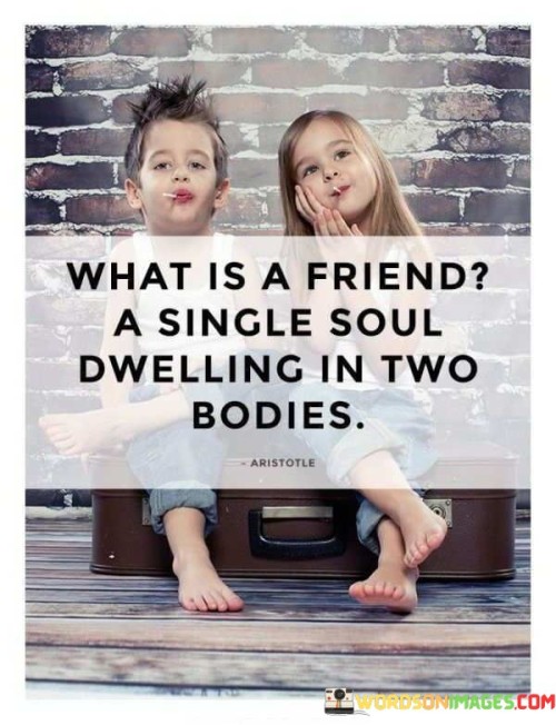 What-Is-A-Friend-A-Single-Soul-Dwelling-In-Two-Bodies-Quotes.jpeg