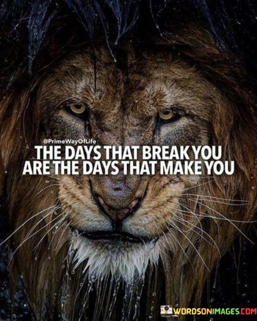 The-Days-That-Break-You-Are-The-Days-That-Make-You-Quotes-Quotes.jpeg