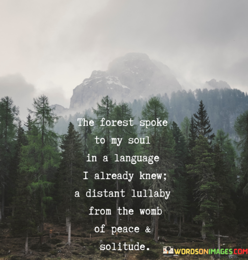 The Forest Spoke To My Soul In A Language I Already Knew Quotes.