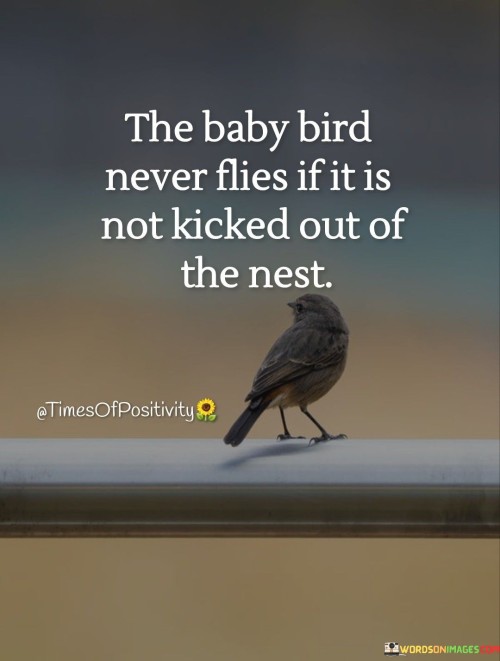 The-Baby-Bird-Never-Flies-If-It-Is-Not-Kicked-Out-Of-The-Nest-Quotes.jpeg