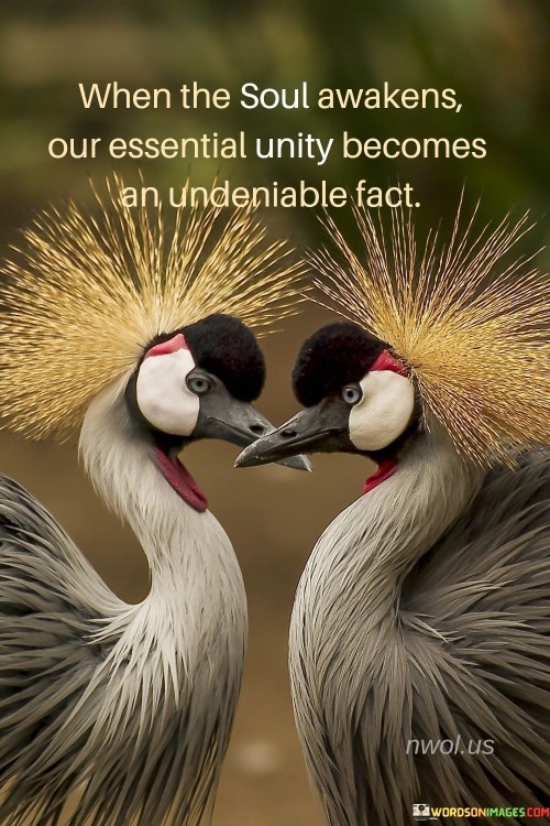 When-The-Soul-Awakens-Our-Essential-Unity-Becomes-Quotes.jpeg