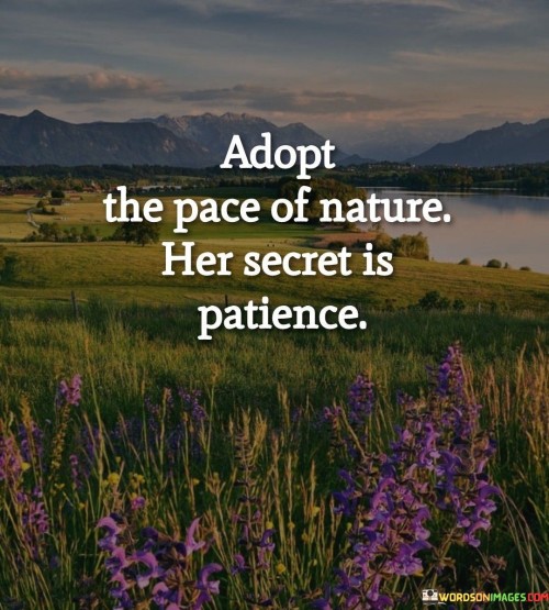 Adopt The Pace Of Nature Her Secret Is Patience Quotes