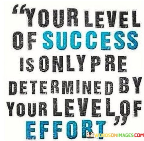 Your-Level-Of-Success-Is-Only-Pre-Determined-Quotes.jpeg