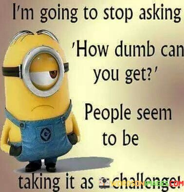 Im-Going-To-Stop-Asking-How-Dumb-You-Can-Get-Quotes.jpeg