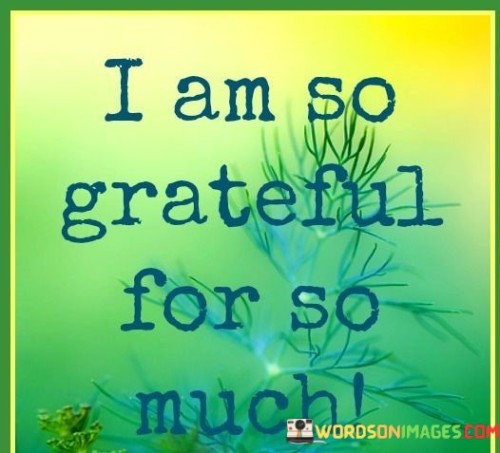 I-Am-So-Grateful-For-So-Much-Quotes.jpeg