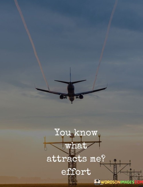 You-Know-What-Attracts-Me-Effort-Quotes.jpeg