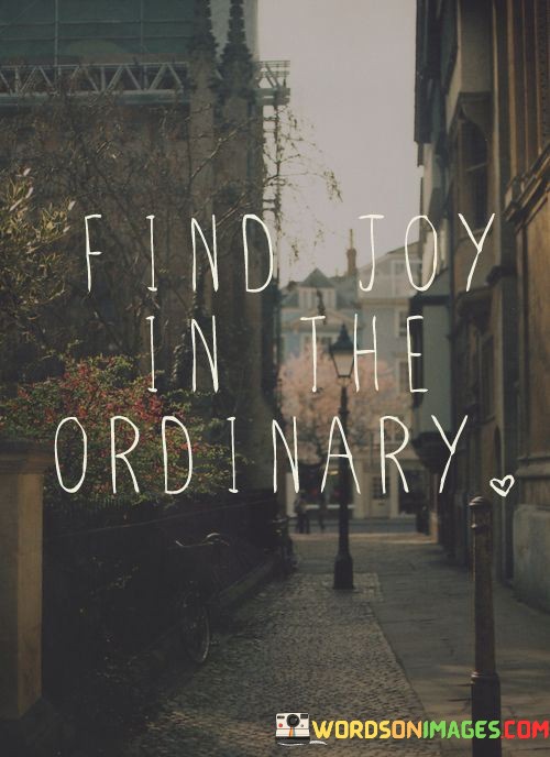 Find-Joy-In-The-Ordinary-Quotes.jpeg