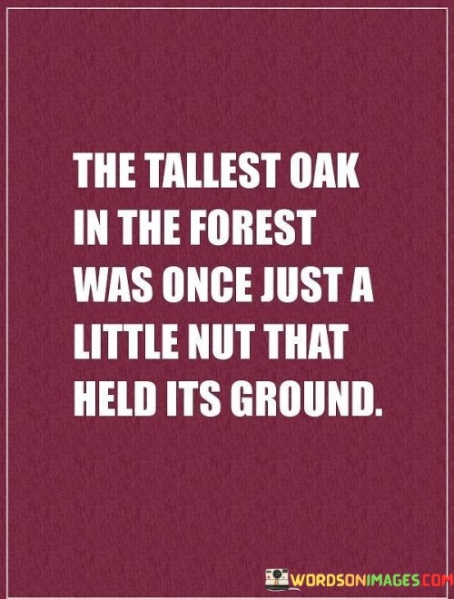 The-Tallest-Oak-In-The-Forest-Was-Once-Just-Quotes