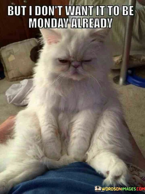 But I Don't Want It To Be Monday Already Quotes