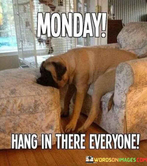 Monday-Hang-In-There-Everyone-Quotes.jpeg