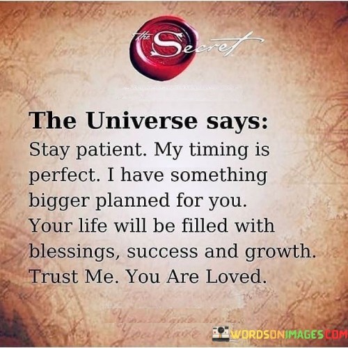 The-Universe-Says-Stay-Patient-My-Timing-Is-Perfect-I-Have-Quotes.jpeg