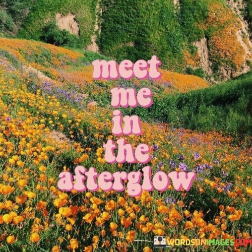 Meet-Me-In-The-Afterglow-Quotes.jpeg